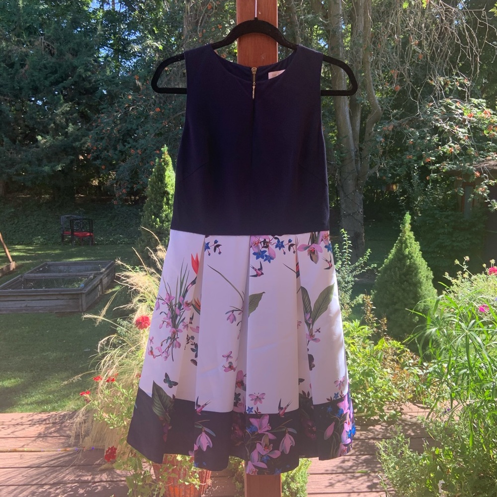 Ted Baker London Dress